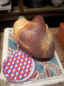coeur anatomique curiosité galerie salon paris